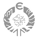 instituto europa de los pueblos logo