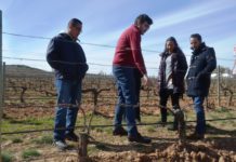 Los importadores aconsejan elegir nuevos nichos de mercado para que Ribera del Duero siga creciendo en México