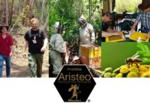 Aristeo Bee Venom: “Es el momento de aprovechar al máximo el regalo que nos ofrece la naturaleza gracias a las abejas”