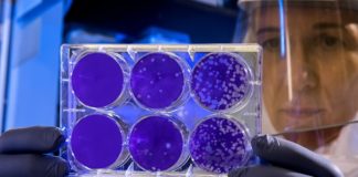 ¿Tiene futuro la Ciencia Abierta?