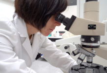 El CDTI e Inveready inyectan casi 300.000 euros en Innoup Farma Innoup Farma