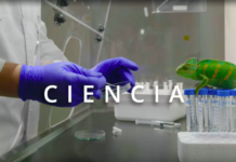 ‘Adaptek Technology’, la nueva tecnología de i+Med Adaptek Technology
