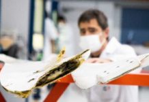 Composites de Fibra de Carbono sostenibles y competitivos, objetivo de CIDETEC Surface Engineering CIDETEC