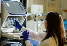 La sanidad vasca colabora con la OMS en la evaluación de tecnologías sanitarias innovadoras