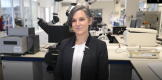 “En Cidetec desarrollamos biomateriales con tecnología propia que convertimos en productos concretos y transferibles”, Iraida Loinaz
