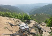 Drones «heroicos» para el cuidado de la vid: la última innovación tecnológica de la Bodega Regina Viarum Bodega Regina Viarum
