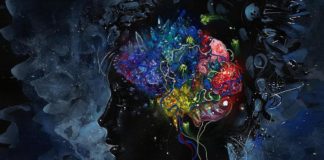 Investigadores de la UPV/EHU han estudiado cómo las drogas psicodélicas podrían tratar trastornos psiquiátricos