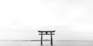 Obsesión Decidata IA AI Japan Kaizen
