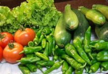 Creando una pequeña huerta ecológica urbana desde cero.